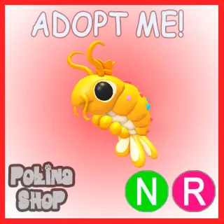 Priceless Shrimp NR