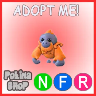 Orangutan NFR