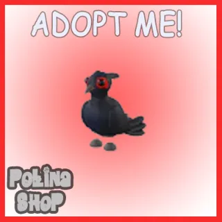 Black-Chested Pheasant