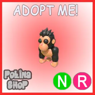 Gorilla NR