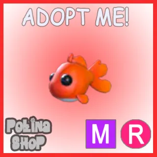 Goldfish MR