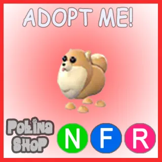 Pomeranian NFR