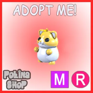 Golden Hamster MR