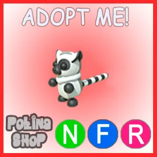 Ring-tailed Lemur NFR