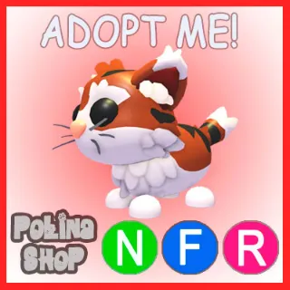 Munchkin Cat NFR