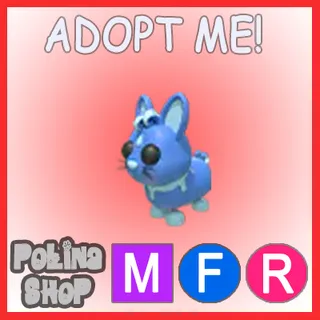 Water Rabbit MFR