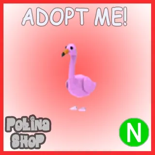 Flamingo N
