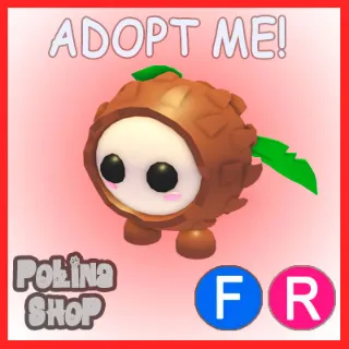 Coconut Friend FR