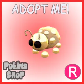 Golden Ladybug R x4
