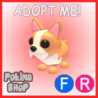 French Bulldog FR