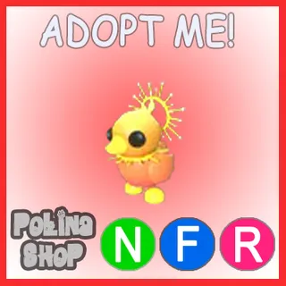 Sunrise Duckling NFR