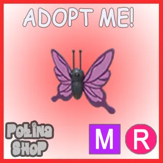 Purple Butterfly MR