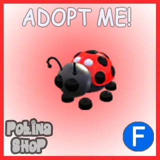 Ladybug F