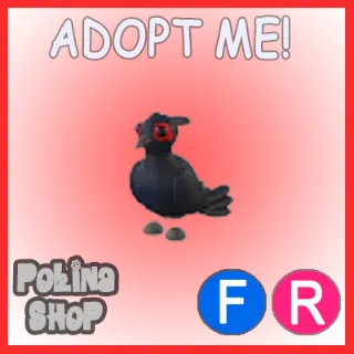 Black-Chested Pheasant FR