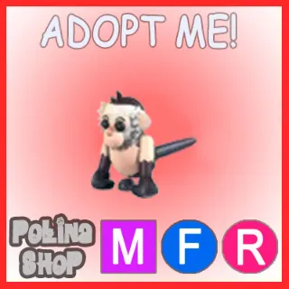 Capuchin Monkey MFR