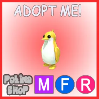Golden King Penguin MFR