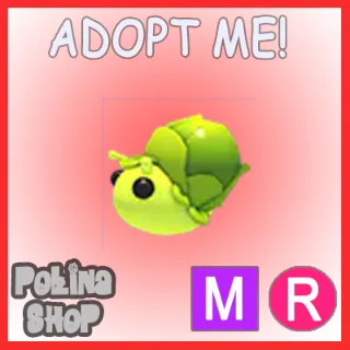 Sprout Snail MR