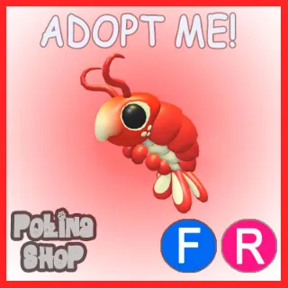 Emperor Shrimp FR