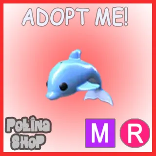 Dolphin MR