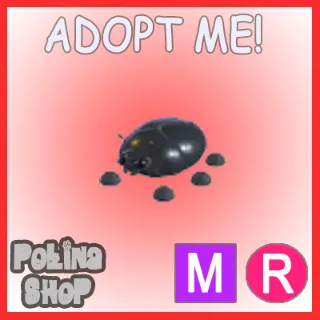 Giant Black Scarab MR