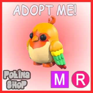 Love Bird MR