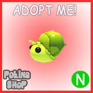Sprout Snail N