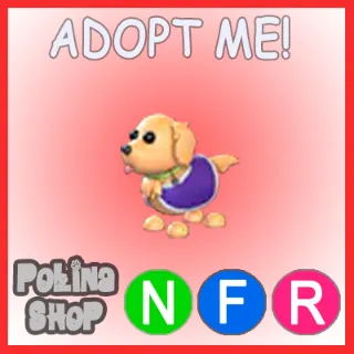 Therapy Dog NFR