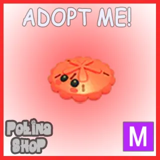 Red Sand Dollar M