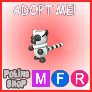 Ring-tailed Lemur MFR