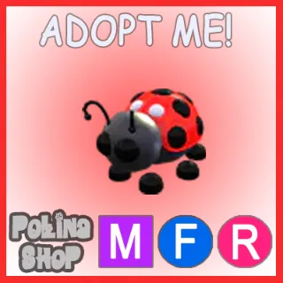 Ladybug MFR