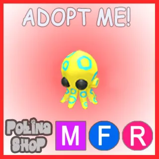 Blue Ringed Octopus MFR