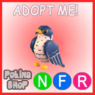 Peregrine Falcon NFR