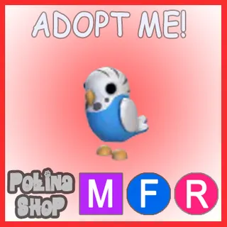 Parakeet MFR