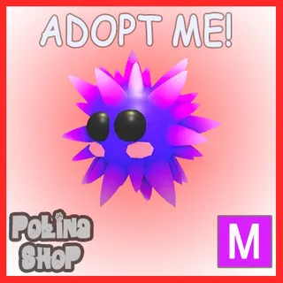 Urchin M