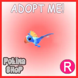 Dimorphodon R x4
