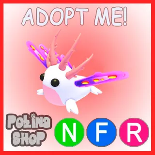 Sea Slug NFR