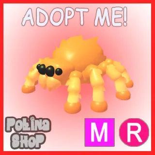 Jumping Spider MR