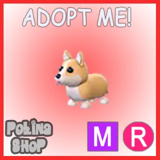 Corgi MR