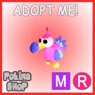 Dodo MR