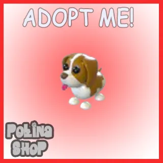 Brown Springer Spaniel x4