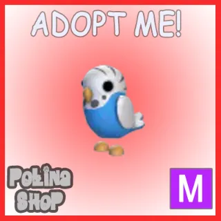 Parakeet M