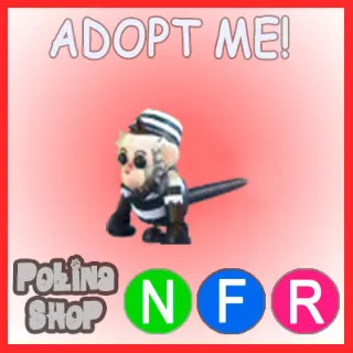 Inmate Capuchin Monkey NFR