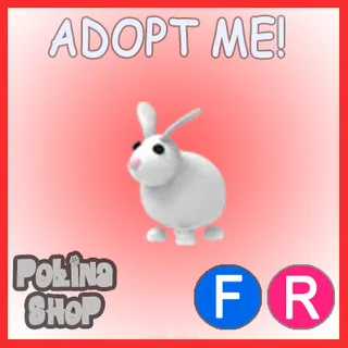 Rabbit FR