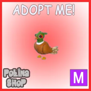 Brown-Chested Pheasant M