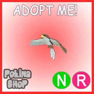 Hawk NR