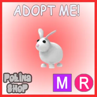 Rabbit MR