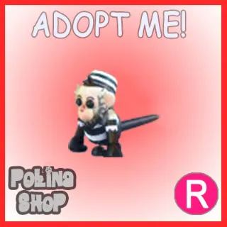 Inmate Capuchin Monkey R x4