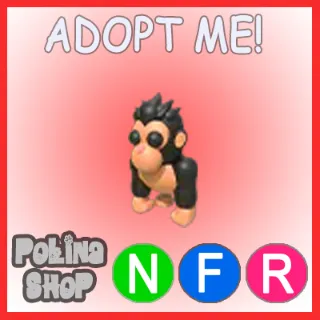 Gorilla NFR