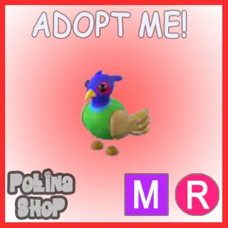 Green-Chested Pheasant MR