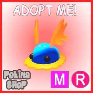 Seabed Creeper MR